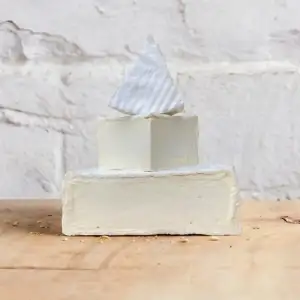 DELICE DE BOURGOGNE 160g